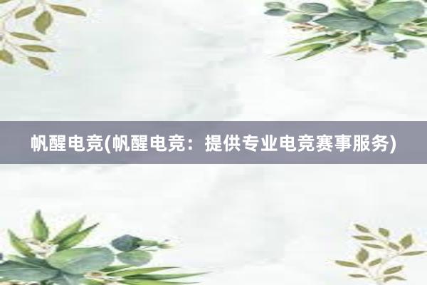 帆醒电竞(帆醒电竞：提供专业电竞赛事服务)