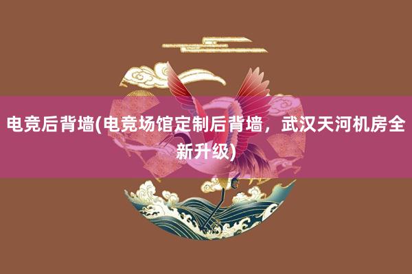 电竞后背墙(电竞场馆定制后背墙，武汉天河机房全新升级)