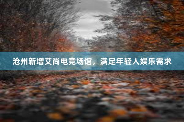 沧州新增艾尚电竞场馆，满足年轻人娱乐需求