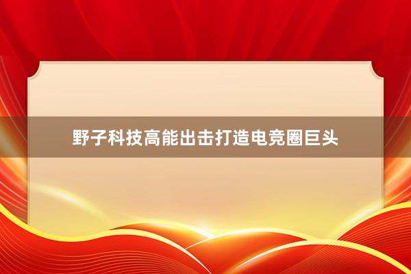 野子科技高能出击打造电竞圈巨头